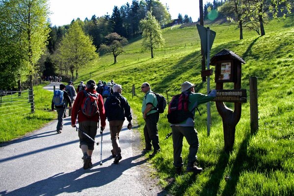 Randonnée dans la région de Nordach (Allemagne)